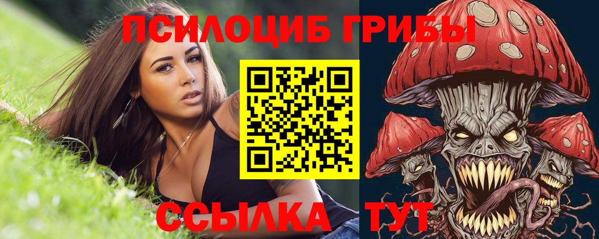 Северск  Галлюциногенные грибы прущие грибы  Вход с VPN  где найти наркотики  Галлюциногенные грибы мухоморы 